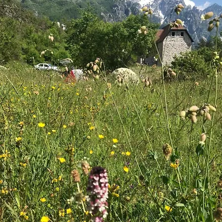 Rupa Pensión 2*