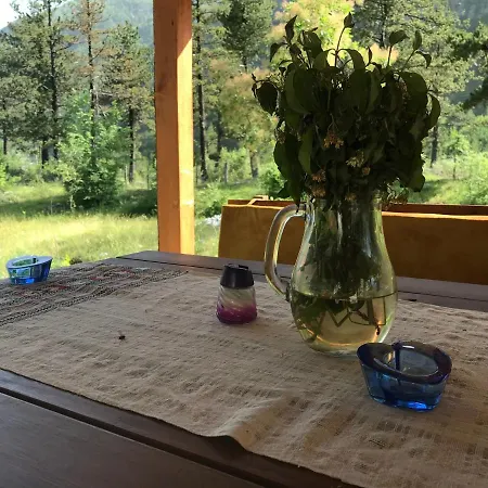 Rupa Pensión 2*